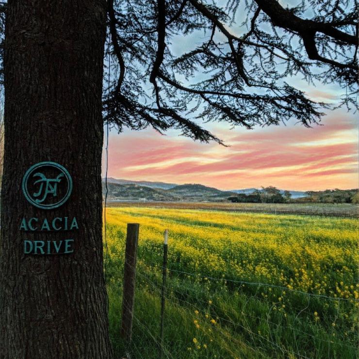 California Photography Print, Napa Valley, Landscape Print, Square Large Wall Art, Nature, Home/Office Decor